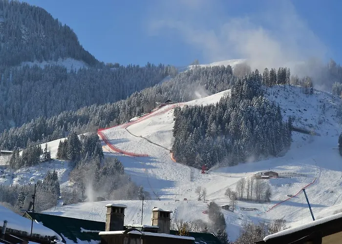 Tiefenbrunner Kitzbühel